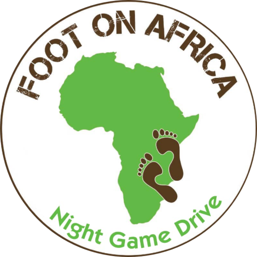 FOOT ON AFRICA